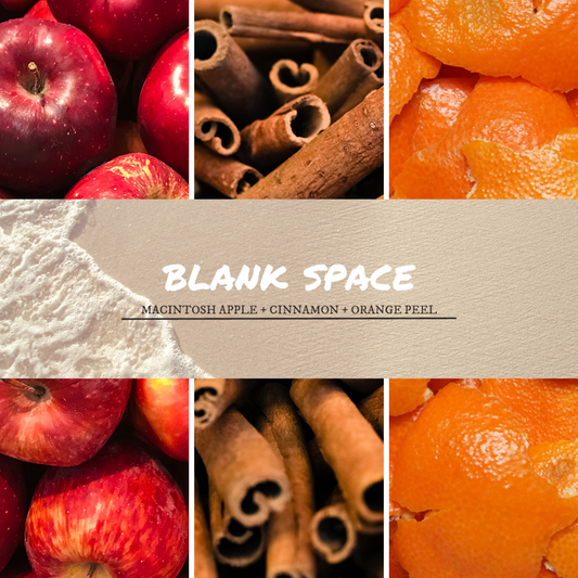 Blank Space Wax Melt image 1