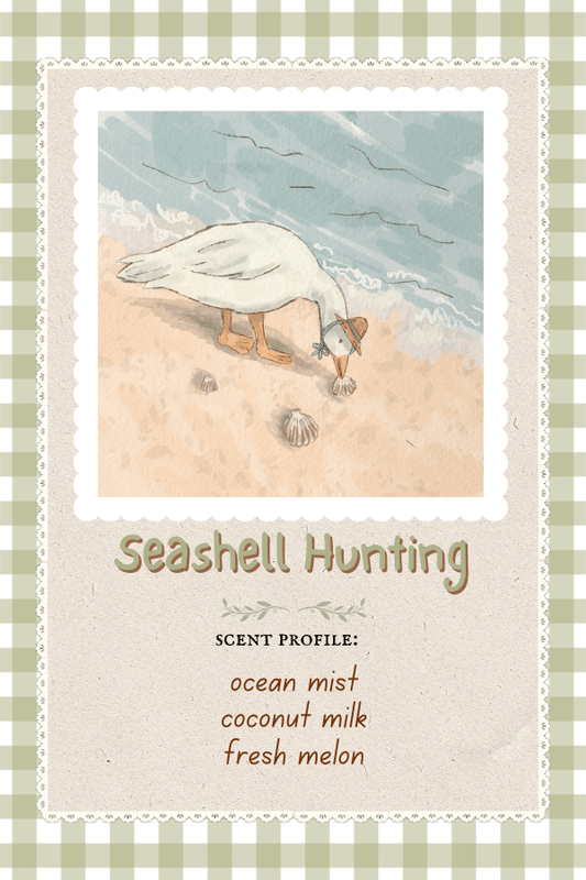 Seashell Hunting