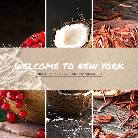 Welcome To New York image 1