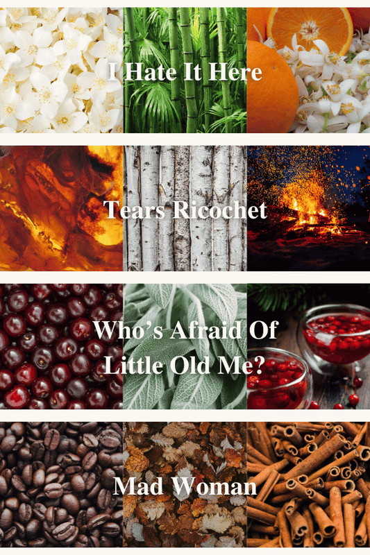 Female Rage: The Musical Wax Melt Box image 1