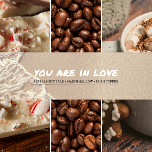 You Are In Love image 1