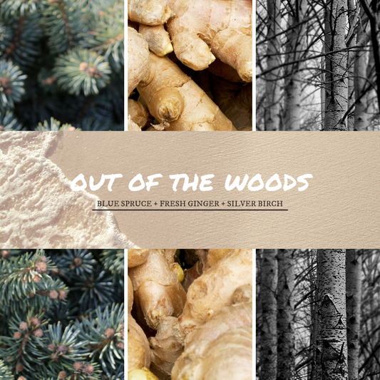Out Of The Woods image 1