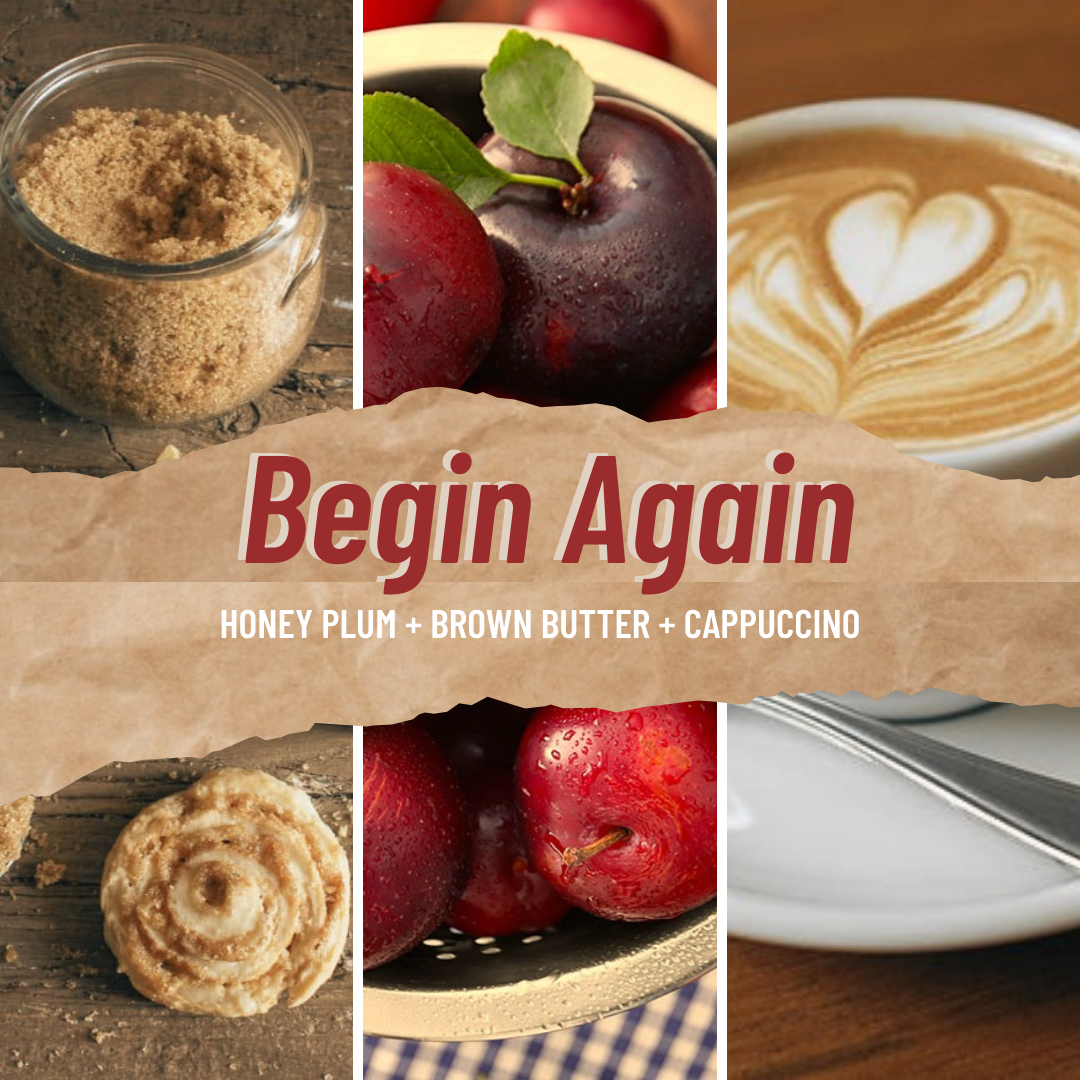 Begin Again image 1